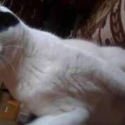 ヒメ日記 2025/08/08 18:42 投稿 ユーコ☆金津随一の神業テク ヴィーナス(金津園)