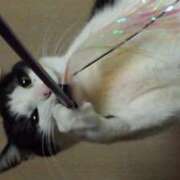 ヒメ日記 2025/08/09 12:09 投稿 ユーコ☆金津随一の神業テク ヴィーナス(金津園)