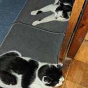 ヒメ日記 2025/08/10 20:15 投稿 ユーコ☆金津随一の神業テク ヴィーナス(金津園)