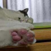 ヒメ日記 2025/08/12 19:00 投稿 ユーコ☆金津随一の神業テク ヴィーナス(金津園)