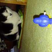 ヒメ日記 2025/08/13 18:57 投稿 ユーコ☆金津随一の神業テク ヴィーナス(金津園)