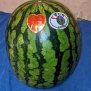 ヒメ日記 2025/08/16 23:21 投稿 ユーコ☆金津随一の神業テク ヴィーナス(金津園)