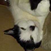 ヒメ日記 2025/08/17 12:12 投稿 ユーコ☆金津随一の神業テク ヴィーナス(金津園)