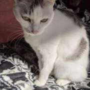 ヒメ日記 2025/08/22 18:15 投稿 ユーコ☆金津随一の神業テク ヴィーナス(金津園)