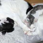 ヒメ日記 2025/08/24 20:09 投稿 ユーコ☆金津随一の神業テク ヴィーナス(金津園)