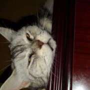 ヒメ日記 2025/08/27 19:45 投稿 ユーコ☆金津随一の神業テク ヴィーナス(金津園)