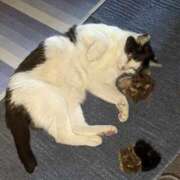 ヒメ日記 2025/08/28 18:33 投稿 ユーコ☆金津随一の神業テク ヴィーナス(金津園)