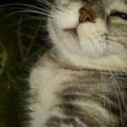 ヒメ日記 2025/08/29 18:57 投稿 ユーコ☆金津随一の神業テク ヴィーナス(金津園)