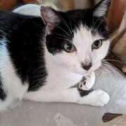 ヒメ日記 2025/08/30 12:15 投稿 ユーコ☆金津随一の神業テク ヴィーナス(金津園)