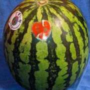 ヒメ日記 2025/08/30 23:03 投稿 ユーコ☆金津随一の神業テク ヴィーナス(金津園)