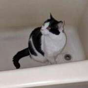 ヒメ日記 2025/08/31 21:30 投稿 ユーコ☆金津随一の神業テク ヴィーナス(金津園)