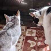 ヒメ日記 2025/09/02 18:27 投稿 ユーコ☆金津随一の神業テク ヴィーナス(金津園)