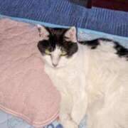 ヒメ日記 2025/09/04 12:18 投稿 ユーコ☆金津随一の神業テク ヴィーナス(金津園)