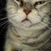 ヒメ日記 2025/09/06 12:36 投稿 ユーコ☆金津随一の神業テク ヴィーナス(金津園)