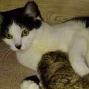 ヒメ日記 2025/09/07 20:18 投稿 ユーコ☆金津随一の神業テク ヴィーナス(金津園)