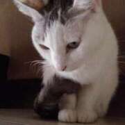 ヒメ日記 2025/09/08 17:27 投稿 ユーコ☆金津随一の神業テク ヴィーナス(金津園)