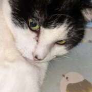 ヒメ日記 2025/09/09 17:36 投稿 ユーコ☆金津随一の神業テク ヴィーナス(金津園)