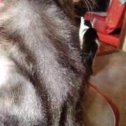 ヒメ日記 2025/09/10 17:42 投稿 ユーコ☆金津随一の神業テク ヴィーナス(金津園)