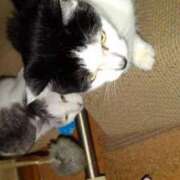 ヒメ日記 2025/09/11 12:03 投稿 ユーコ☆金津随一の神業テク ヴィーナス(金津園)