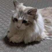 ヒメ日記 2025/09/11 21:33 投稿 ユーコ☆金津随一の神業テク ヴィーナス(金津園)