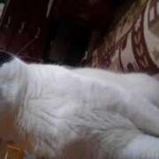 ヒメ日記 2025/09/14 12:21 投稿 ユーコ☆金津随一の神業テク ヴィーナス(金津園)