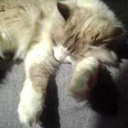 ヒメ日記 2025/09/15 17:48 投稿 ユーコ☆金津随一の神業テク ヴィーナス(金津園)