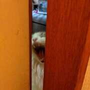 ヒメ日記 2025/09/18 19:06 投稿 ユーコ☆金津随一の神業テク ヴィーナス(金津園)