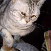 ヒメ日記 2025/09/20 12:30 投稿 ユーコ☆金津随一の神業テク ヴィーナス(金津園)