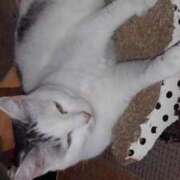 ヒメ日記 2025/09/22 17:33 投稿 ユーコ☆金津随一の神業テク ヴィーナス(金津園)