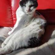 ヒメ日記 2025/09/27 12:12 投稿 ユーコ☆金津随一の神業テク ヴィーナス(金津園)