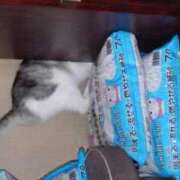 ヒメ日記 2025/09/28 12:12 投稿 ユーコ☆金津随一の神業テク ヴィーナス(金津園)