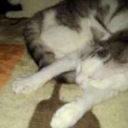 ヒメ日記 2025/09/28 21:48 投稿 ユーコ☆金津随一の神業テク ヴィーナス(金津園)