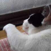 ヒメ日記 2025/09/30 21:24 投稿 ユーコ☆金津随一の神業テク ヴィーナス(金津園)