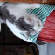 ヒメ日記 2025/10/01 18:12 投稿 ユーコ☆金津随一の神業テク ヴィーナス(金津園)