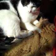 ヒメ日記 2025/10/02 12:18 投稿 ユーコ☆金津随一の神業テク ヴィーナス(金津園)