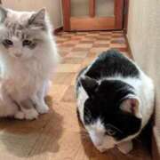 ヒメ日記 2025/10/03 18:12 投稿 ユーコ☆金津随一の神業テク ヴィーナス(金津園)