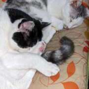 ヒメ日記 2025/10/04 12:57 投稿 ユーコ☆金津随一の神業テク ヴィーナス(金津園)