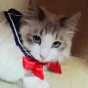 ヒメ日記 2025/10/07 18:24 投稿 ユーコ☆金津随一の神業テク ヴィーナス(金津園)