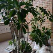 ヒメ日記 2025/10/10 18:12 投稿 ユーコ☆金津随一の神業テク ヴィーナス(金津園)