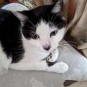 ヒメ日記 2025/10/11 12:18 投稿 ユーコ☆金津随一の神業テク ヴィーナス(金津園)