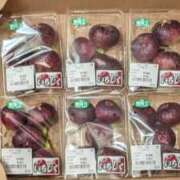 ヒメ日記 2025/10/11 23:03 投稿 ユーコ☆金津随一の神業テク ヴィーナス(金津園)