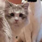 ヒメ日記 2025/10/15 17:33 投稿 ユーコ☆金津随一の神業テク ヴィーナス(金津園)