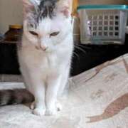 ヒメ日記 2025/10/16 18:03 投稿 ユーコ☆金津随一の神業テク ヴィーナス(金津園)