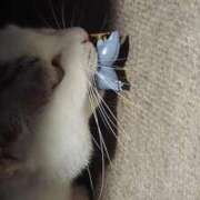 ヒメ日記 2025/10/17 18:06 投稿 ユーコ☆金津随一の神業テク ヴィーナス(金津園)