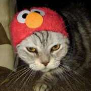 ヒメ日記 2025/10/19 20:21 投稿 ユーコ☆金津随一の神業テク ヴィーナス(金津園)