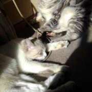 ヒメ日記 2025/10/20 12:18 投稿 ユーコ☆金津随一の神業テク ヴィーナス(金津園)