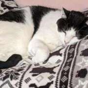 ヒメ日記 2025/10/22 18:18 投稿 ユーコ☆金津随一の神業テク ヴィーナス(金津園)