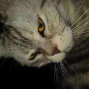 ヒメ日記 2025/10/23 12:18 投稿 ユーコ☆金津随一の神業テク ヴィーナス(金津園)