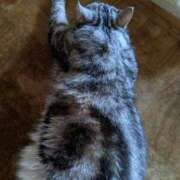 ヒメ日記 2025/10/25 12:18 投稿 ユーコ☆金津随一の神業テク ヴィーナス(金津園)