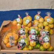 ヒメ日記 2025/10/25 23:03 投稿 ユーコ☆金津随一の神業テク ヴィーナス(金津園)